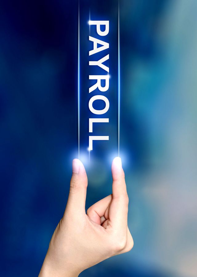 Payroll Services Offered by WeDoRealtors